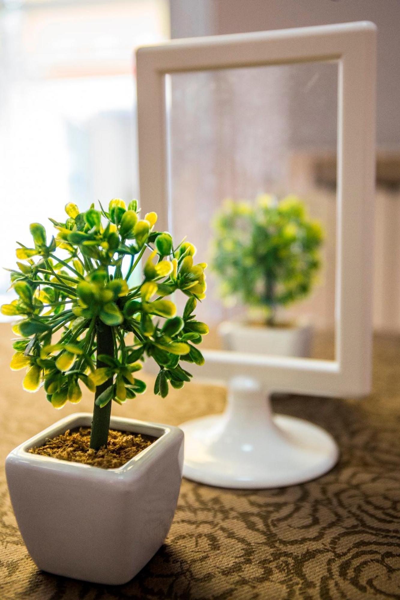 Hotel Nuovo Fiore กัตตอลิกา ภายนอก รูปภาพ